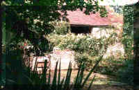 Le Moulin cote Bief.PV.jpg (28141 octets)