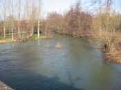 serein.janv.03.2004.RV.jpg (157981 octets)